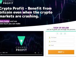 crypto profit review