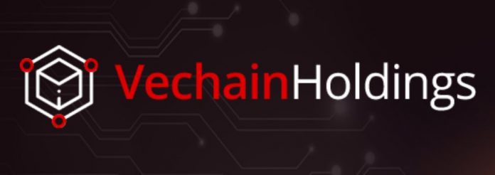 vechain holdings review