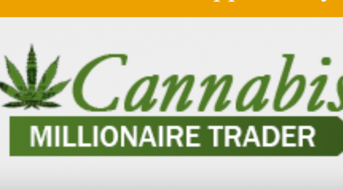 Cannabis Millionaire Trader review