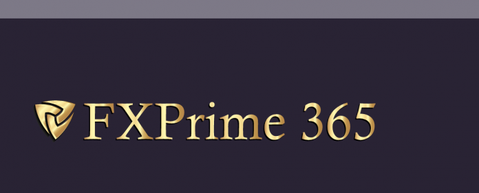 Fx Prime 365 Review
