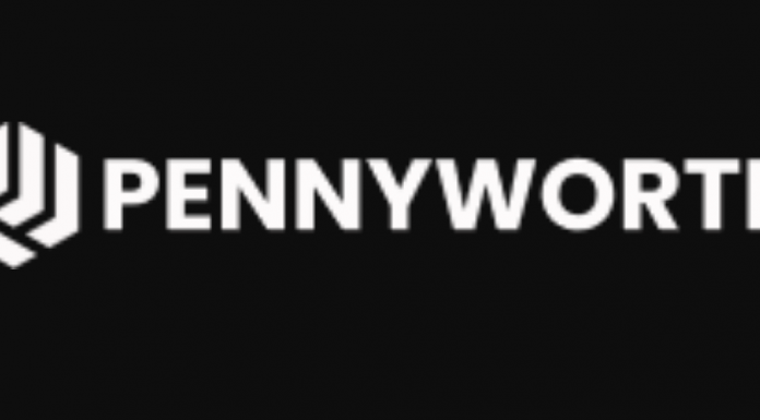 Pennyworth Investments Limited Review