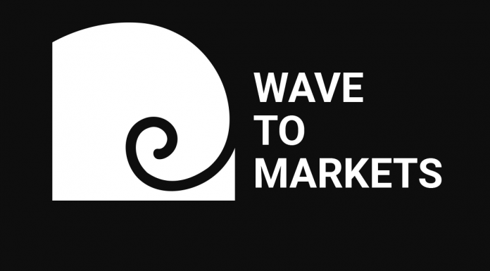 Wave To Markets Review (wavetomarkets.com Scam) Wave To Markets Review