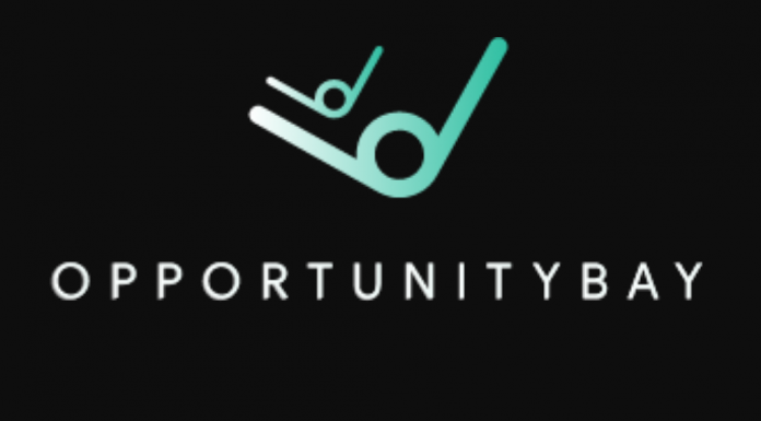 Opportunity Bay Review (opportunitybay.com) Opportunity Bay Review