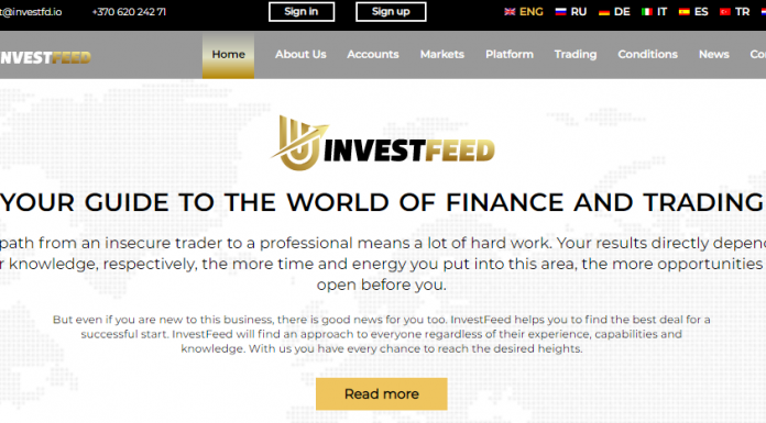 Investfeed Review