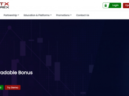 OTX Forex Review