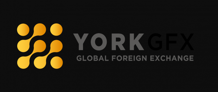 York GFX Review