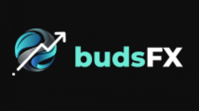 Budsfx review