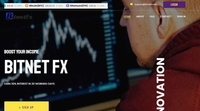 Bitnet FX Review (bitnetfx.com Scam) Bitnet FX Review