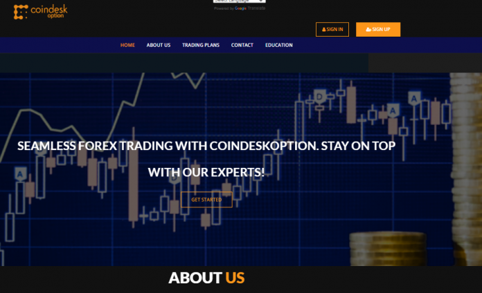 Coindesk Option Review Coindesk Option Review