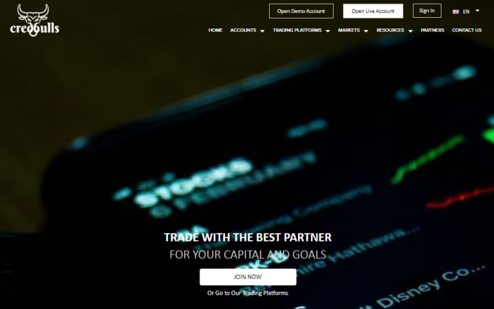 Credbulls Review Credbulls Review