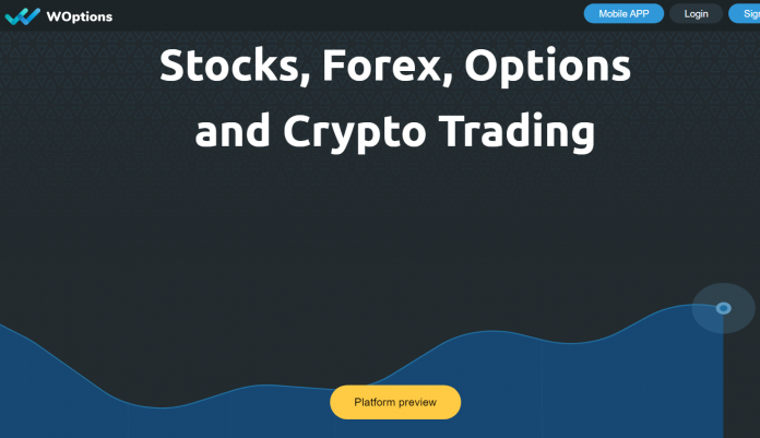 WOptions Review