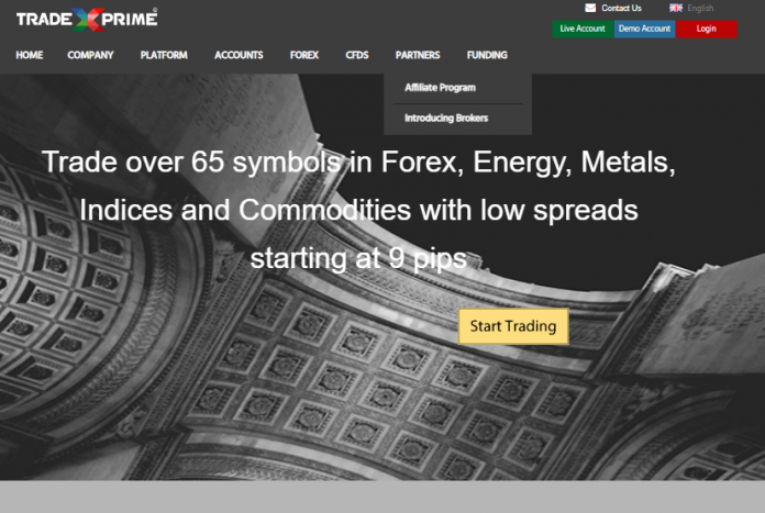 Tradex Prime Review Tradex Prime Review