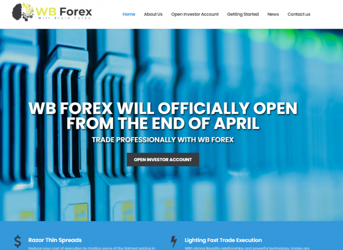 Will Brain Forex Review