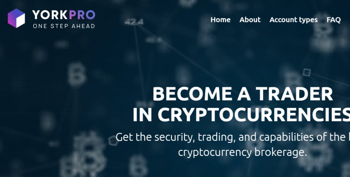 Yorkpro Review Yorkpro Review