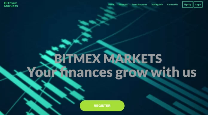 Bitmex Markets Review