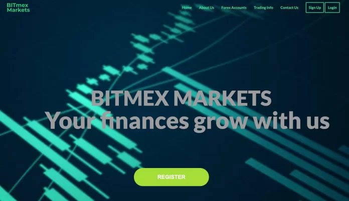 Bitmex Markets Review