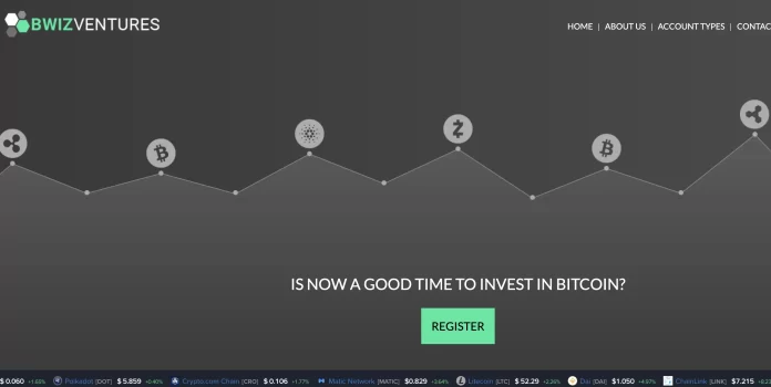 Bwiz Ventures Review Bwiz Ventures Review