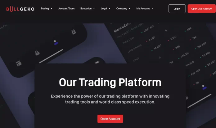 Bullgeko Review Bullgeko Review