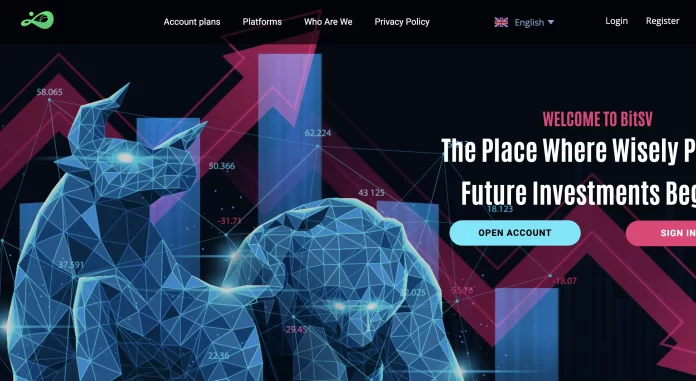 Bitsv Review