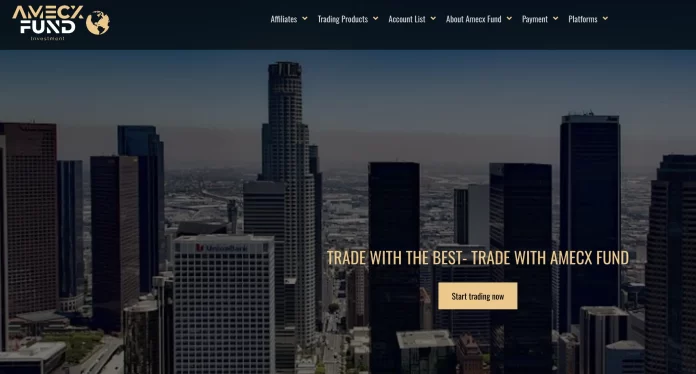 Amecx Fund Review