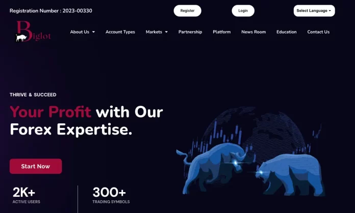 BiglotFx Review