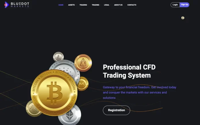 Bluedot Markets Review