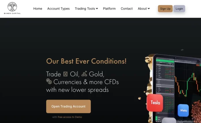 Banex Capital Review