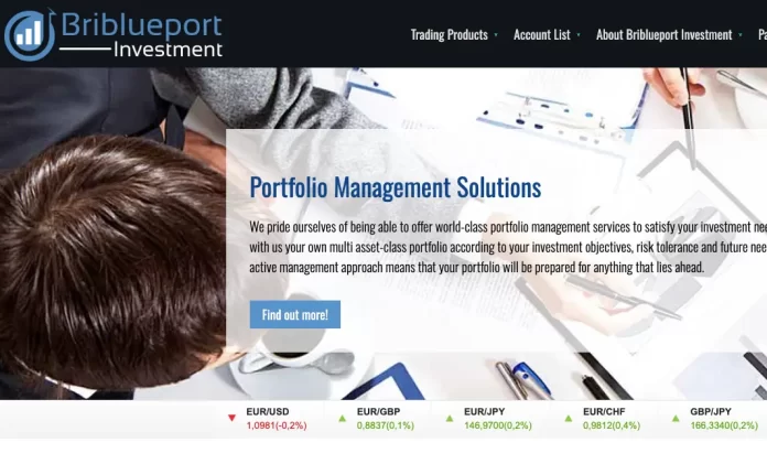 Briblueport Investment Review Briblueport Investment Review