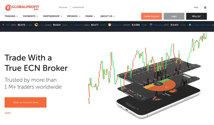Global Profit Stake Review