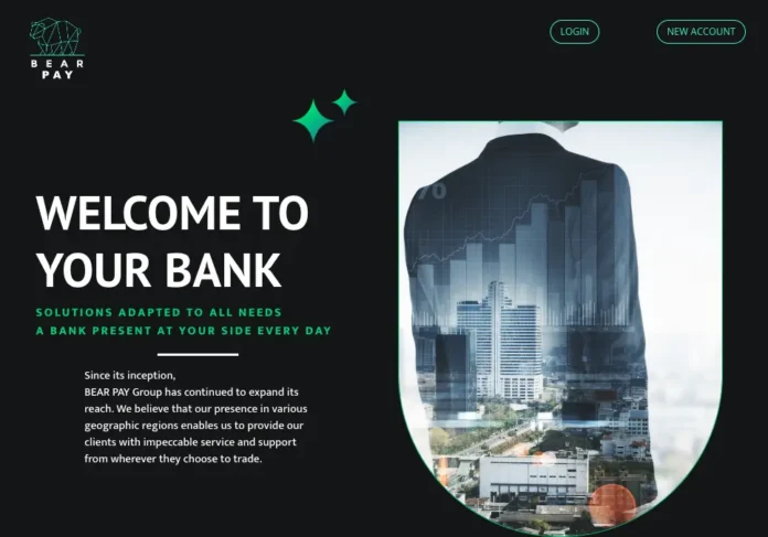Bear Pay Review