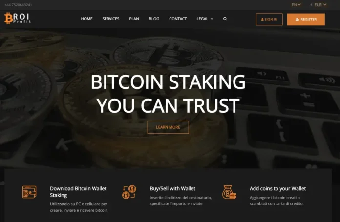 Roi Profit Review