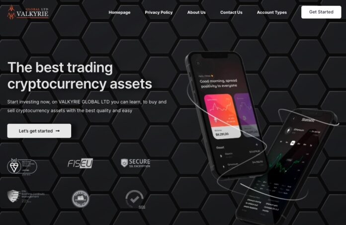 Valkyrie Global Ltd Review