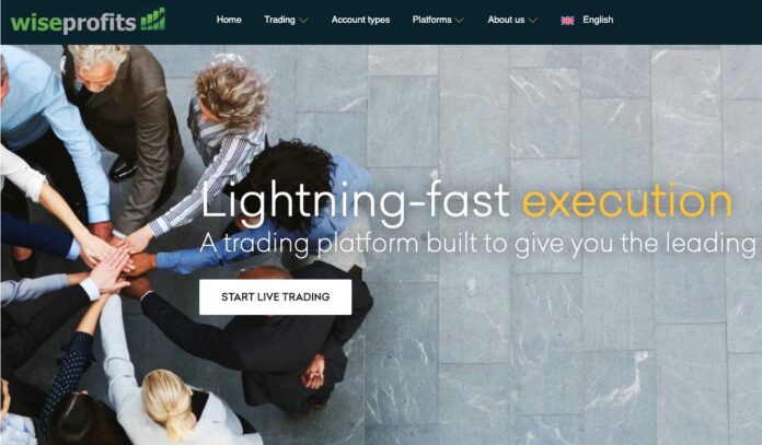 WiseProfits Review