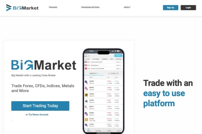 BigGlobalMarket Review