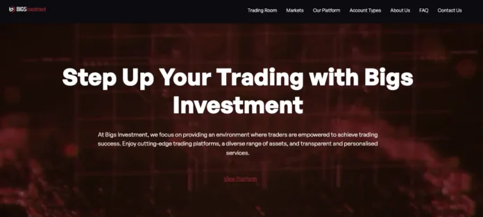 BigsInvestment Review