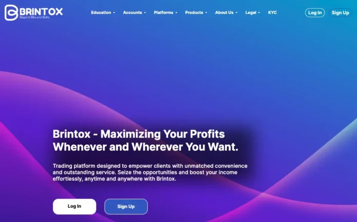 Brintox Review Brintox Review