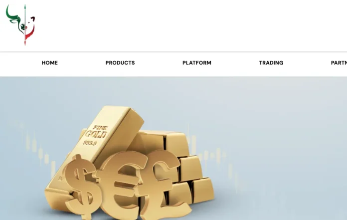 Nitro X Capital Review