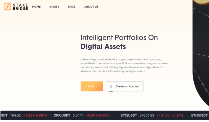 Stake Bridge Review